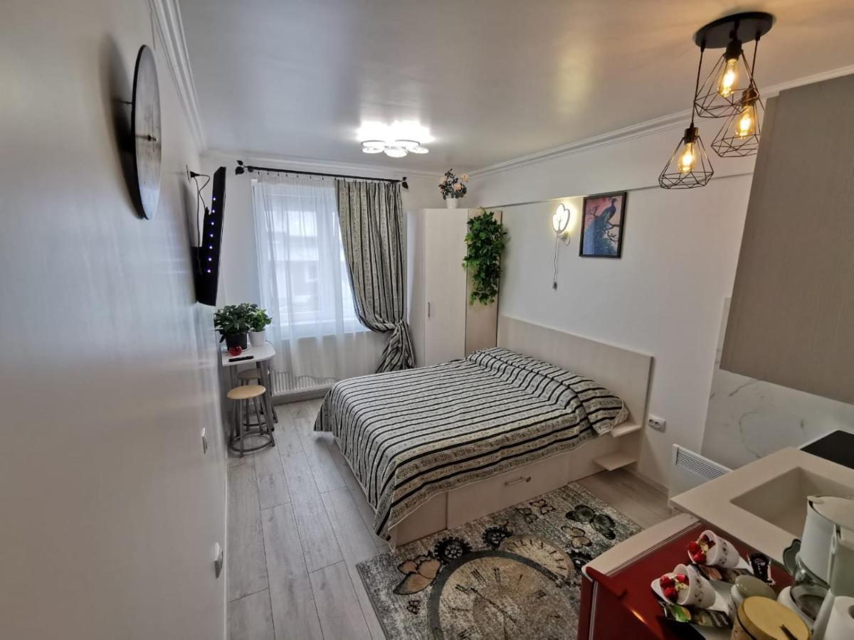 1 Small Studio, Central, Self Check In Sinaia Esterno foto
