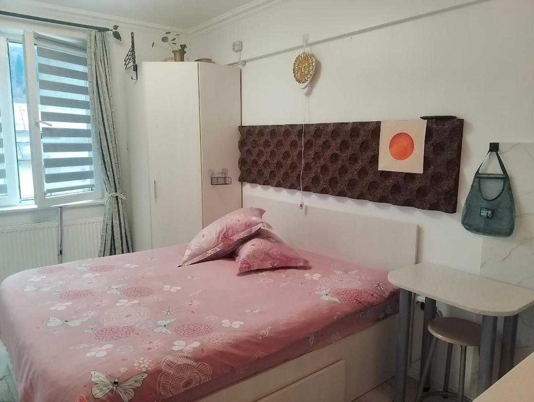 1 Small Studio, Central, Self Check In Sinaia Esterno foto